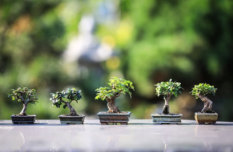 Zen Garden Retreat